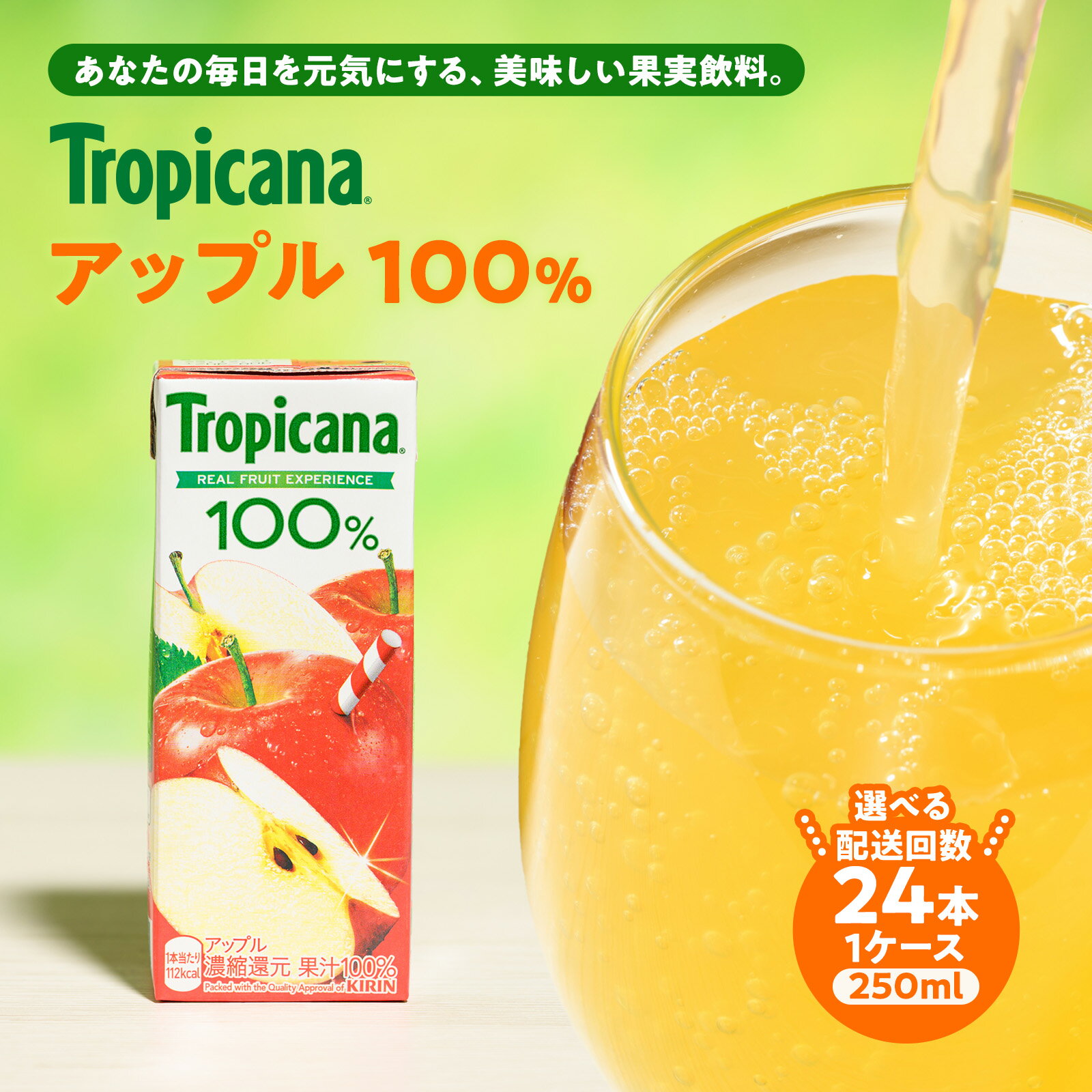 【ふるさと納税】＼選べる配送回数／トロピカーナ 100％ アップル 250ml LLスリム×24本 ※離島への配送不可