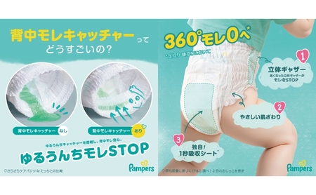 【パンツ】さらさらケア４P＆おやすみパンツ1P［パンパース 紙おむつ 赤ちゃん ベビー 消耗品 日用品 乳児 幼児 子供 オムツ 孫］ L×L
