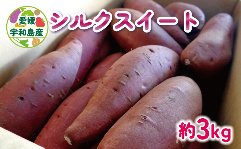 
            さつまいも シルクスイート 3kg あかだ農園 さつま芋 サツマイモ 焼き芋 焼きいも 焼いも おやつ 甘い 野菜 やさい 産地直送 栽培期間中 農薬 不使用 根菜 イモ 芋 農家直送 数量限定 国産 愛媛 宇和島 F010-137003
          