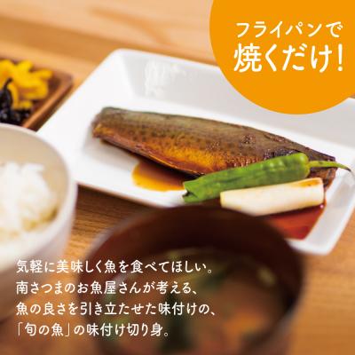 ふるさと納税 南さつま市 【漁師の手作り】小分けで便利!味付け切身の詰め合わせ 10P(5種×2P) |  | 01