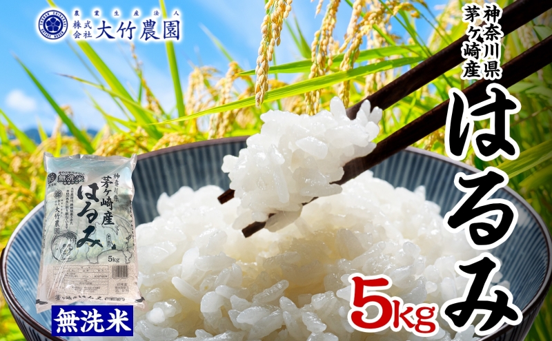 茅ヶ崎市産 はるみ 無洗米 5kg 特A 甘み 粘り つぶ感 しっかり ふっくら つやつや 冷めても美味しい 白米 精米 神奈川県産 お米 米 コメ こめ 大竹農園 神奈川県 茅ヶ崎市