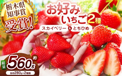 【2027年先行予約】大粒スカイベリー×幻のとちひめ 食べ比べセット 560g