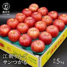江刺りんご サンつがる 約5kg(16～20玉) [AQ022]