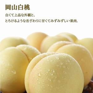 【先行受付】岡山県産　岡山白桃エースL 200g×2玉・シャインマスカット晴王400g×1房　詰合【配送不可地域：離島・北海道・沖縄県】【1308776】