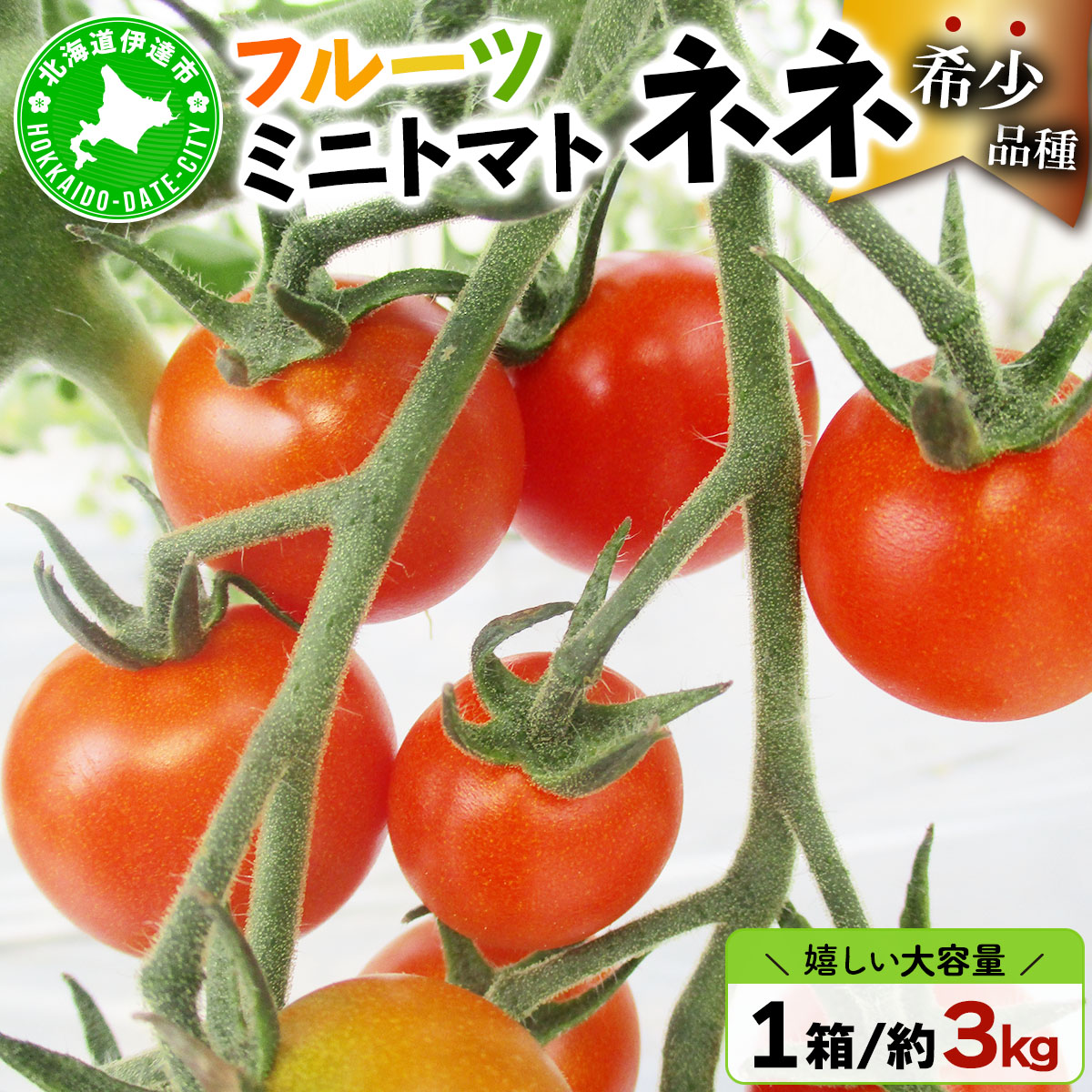  北海道産 ミニトマト ネネ 約3kg フルーツトマト 幻の 高糖度 ジューシー プチ トマト 甘い 濃厚 彩り 鮮やか 希少 お中元 お歳暮 暑中見舞い 帰省土産 ご自宅用 産地直送 大滝農園 送料