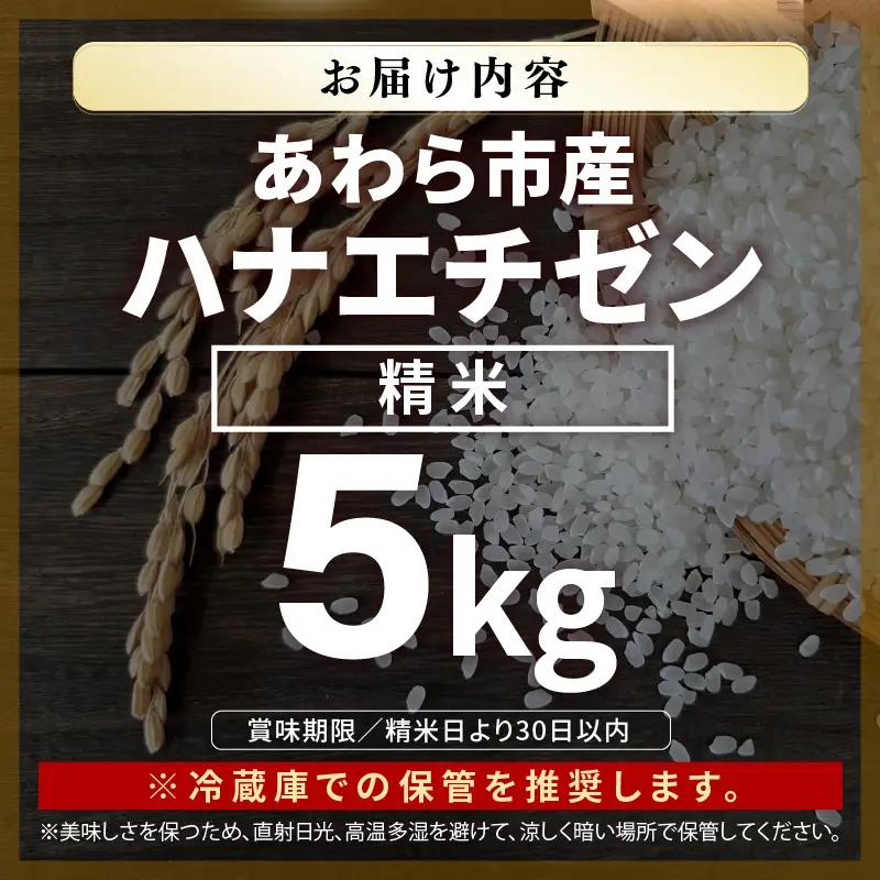 【先行予約】【令和8年産】ハナエチゼン 精米 5kg（農事組合法人イーノなかのはま100）お米 ※2026年10月より順次発送予定 [aw139-a001]