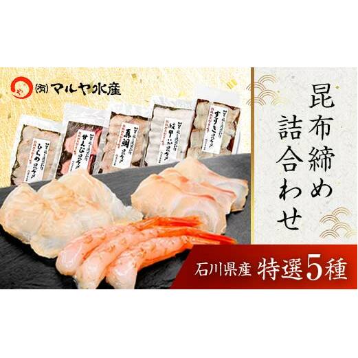 昆布締め詰合せ おまかせ5種 無添加 昆布締め 刺身 おまかせ セット 詰合せ 真空包装 おつまみ 肴 海産物 海の幸 魚介 国産 食品 復興 震災 コロナ 能登半島地震復興支援 北陸新幹線 F6P-