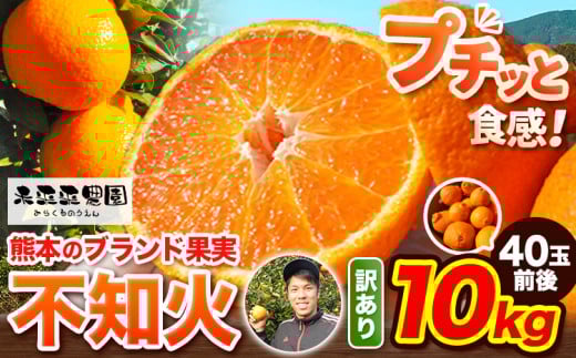 【先行予約】みかん 不知火 訳あり  熊本 ブランド果実 不知火 約 10kg 40玉前後 デコポン と同品種 でこぽん フルーツ 果物 みかん ミカン 柑橘 しらぬい 未来来農園 《4月上旬-4月下旬頃出荷》熊本県 葦北郡 津奈木町