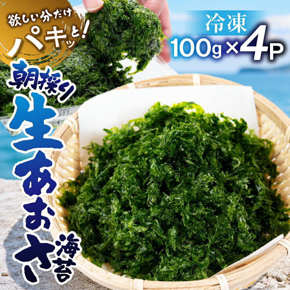 【ふるさと納税】 朝採り！冷凍 生あおさ 400g　|　あおさ あおさのり 海苔 あおさ海苔 アオサ 冷凍 生 生あおさ 生アオサ 急速冷凍 旬 味噌汁 ラーメン 玉子焼き 料理 レシピ のり ノリ 宮川産業