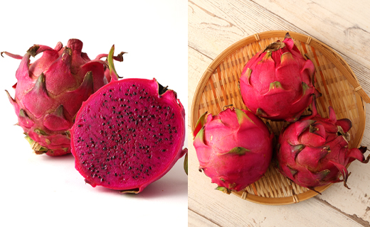 【2026年発送分】徳之島 天城町産 ドラゴンフルーツ 赤白混合 約2kg 家庭用 トロピカルフルーツ フルーツ 果物 果実 ピタヤ