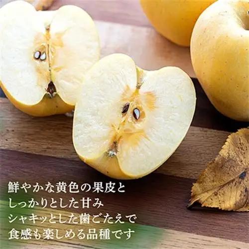 【桃沢晴香園】はるか(りんご)5kg【配送不可地域：離島・沖縄県】【1606258】