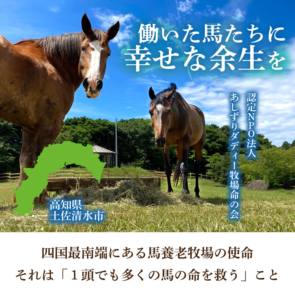 引退馬 余生支援 1,000円コース 返礼品なし 養老馬 競走馬 引退競走馬 馬支援 競馬 馬 うま ウマ 馬支援 動物 あしずりダディー牧場 高知県 土佐清水市【R01528】