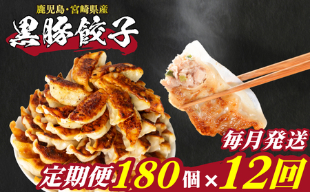 定期便12回 訳あり 黒豚餃子180個 餃子