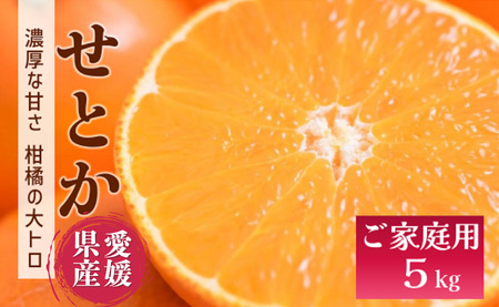 せとか バラ詰め 5kg【2026年4月上旬以降発送】 愛媛 数量限定 愛媛県産 人気 柑橘 伊予市｜C55