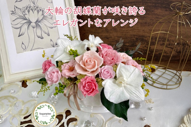  シュガーパイン プリザーブドフラワーアレンジ（ルクール/ピンク）【埼玉県 春日部市 洋蘭 ギフト 記念品 お祝い 長期鑑賞】（AJ073-2）