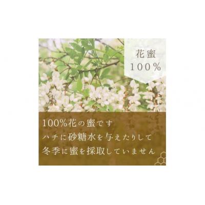 ふるさと納税 余市町 北海道余市町産　無添加はちみつ　夏の百花(滝下養蜂園)[ふるさとクリエイト]_Y067-0052 |  | 03