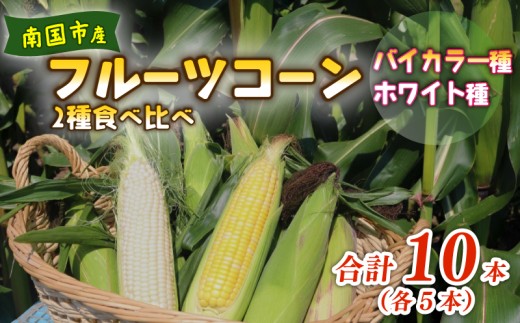 【2026年先行予約】南国フルーツコーン 2種食べ比べ 10本（バイカラー種、ホワイト種、各5本）| 2026年5月～6月発送予定 とうもろこし トウモロコシ スイートコーン 国産 農家直送 期間限定 数量限定 人気 高知県 南国市 農園けんぴ