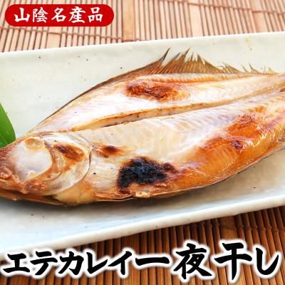 ふるさと納税 新温泉町 山陰名産エテカレイ一夜干し　6枚　兵庫県新温泉町　