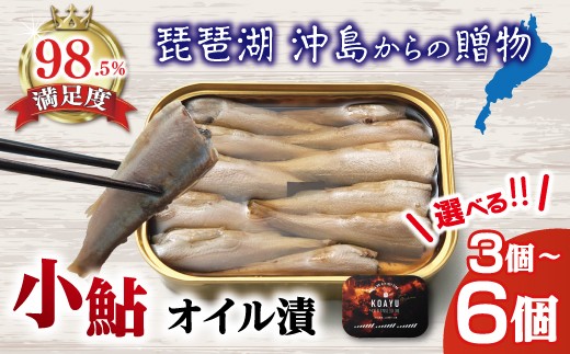 
                  【琵琶湖 沖島からの贈物】缶詰セット　びわ湖産こあゆオイル漬（105g）選べる 3個 ／ 6個［24hour party fish gift for okishima KOAYU in COTTONSEED OIL］【DSKU3】
                