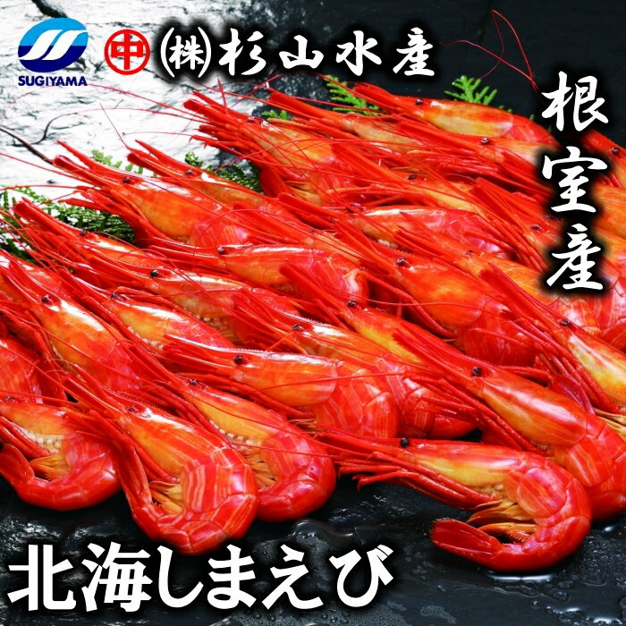 【ふるさと納税】[北海道根室産]北海しまえび500g 選べる 1P 〜 3P エビ えび 海老 シマエビ 北海シマエビ 北海道 根室市 海鮮 しまえび 縞えび