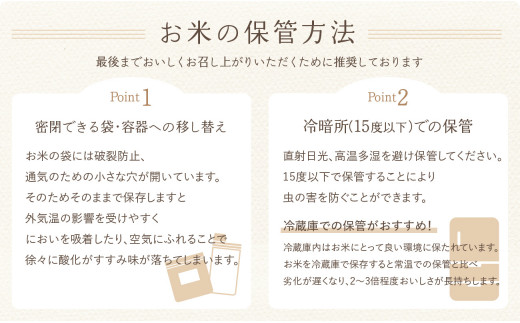 京都府木津川市　お米　10kg　特別栽培米　毎日の健康に 【053-13】
