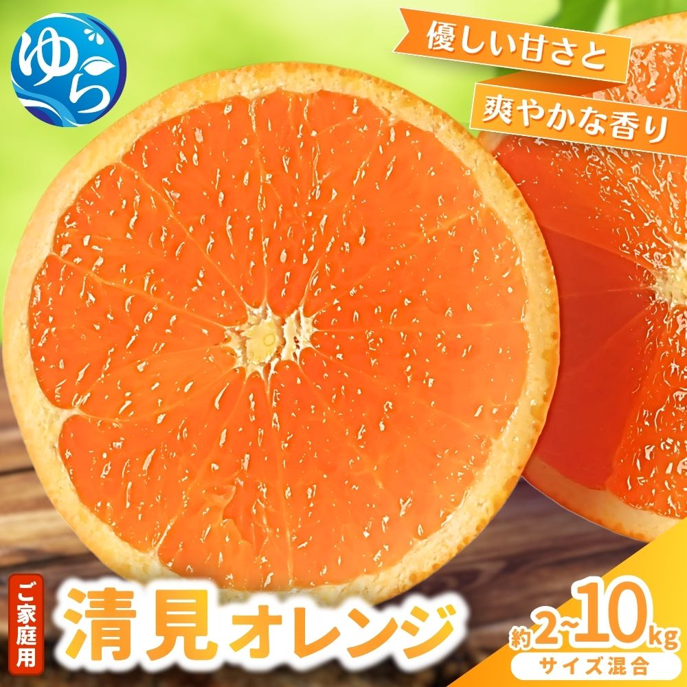 【ふるさと納税】≪家庭用≫清見オレンジ 【選べる容量】 約2kg 約5kg 約10kg 【来シーズン先行予約】S～4L混合 ※2026年3月上旬～順次発送農家直送 / くだもの 柑橘 果物 フルーツ 国産 和歌山県 由良町 清見 人気 おすすめ 和歌山 甘い きよみ 清見おれんじ ご家庭用