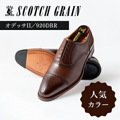 【ふるさと納税】スコッチグレイン紳士靴「オデッサII」NO.920 DBR　メンズ 靴 シューズ ビジネス ビジネスシューズ ファッション小物 合わせやすい 上質 一級の革靴