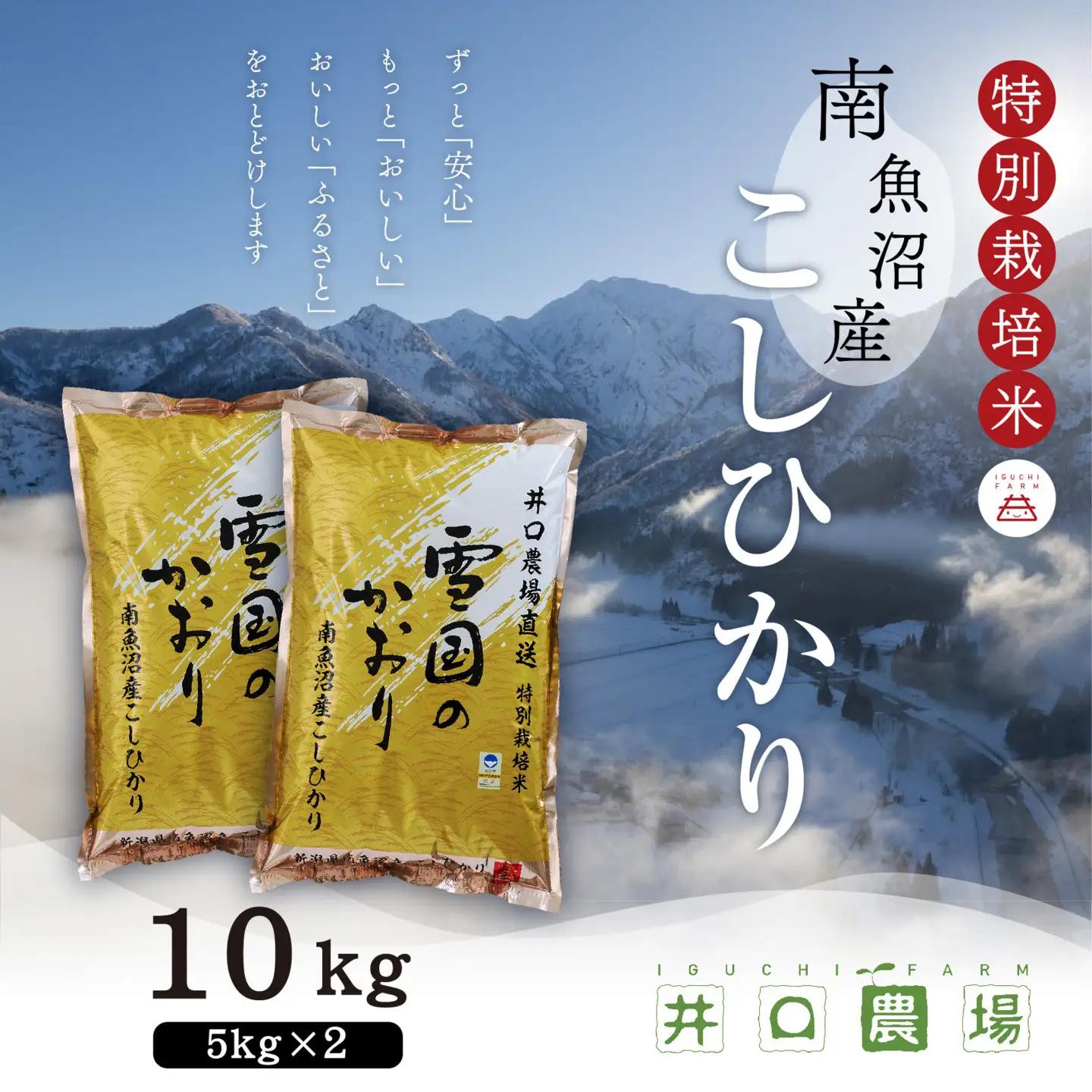 新米【令和8年】南魚沼産コシヒカリ10kg 井口農場こだわりの 特別栽培米｜コシヒカリ【2026年10月上旬より順次発送予定】