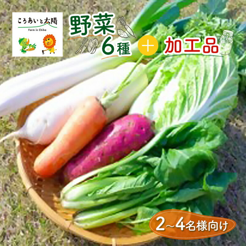 【ふるさと納税】2～4名様向け／野菜6種に加工品をプラス 野菜セット 野菜詰合せ 産地直送 旬の野菜 農園直送 食べ物 食品 グルメ 食卓 ベジタブル 国産 日本産 国産野菜