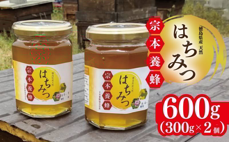 
            はちみつ 国産 300g 2個 計600g 天然 蜂蜜 純粋 蜂蜜ギフト 健康食品 美容 食品 無添加 栄養豊富 生はちみつ ハチミツ ギフト 贈答 人気 はちみつ お取り寄せ グルメ ヨーグルト パン スイーツ 徳島県 吉野川市
          