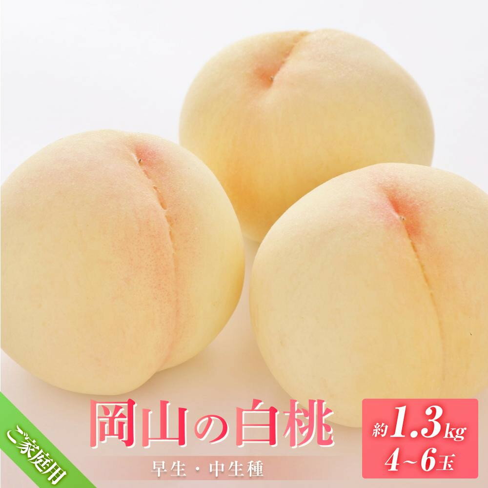 【ふるさと納税】桃 2026年 8月発送 ご家庭用 岡山の 白桃（早生、中生種）約1.3kg 4～6玉 もも モモ フルーツ 果物 岡山市 一宮地区産 国産 赤木農園