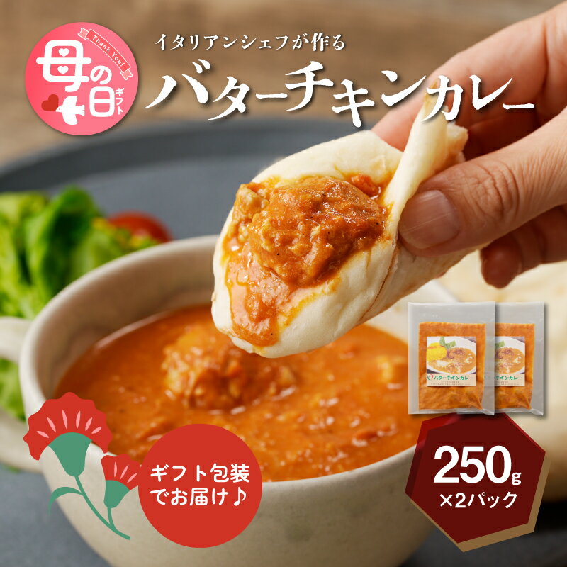 【ふるさと納税】母の日★イタリアンシェフが作るバターチキンカレーソース2袋（250g×2袋） - プレゼント 食べ物 グルメギフト 特別感のある美味しい贈り物 お母さん ママ お義母さん Mother's Day 湯煎調理 レンジ調理 10000円 冷凍 カレー 送料無料【宮崎県木城町】