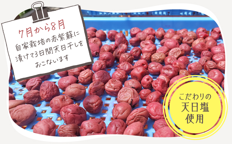 2403 昔ながらのしょっぱい おおすみ百年梅干 800g（400g×2袋） 塩分20%　KN093-001-01