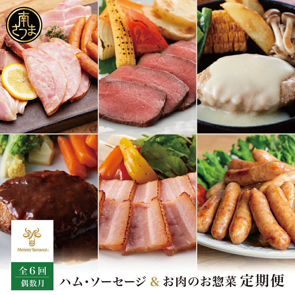 【ふるさと納税】［定期便 全6回／偶数月発送］ハム・ソーセージ＆お肉のお惣菜 定期便 ～マイスター山野井～ ハンバーグ 焼豚 ウインナー ローストビーフ チャーシュー 豚バラ モモ おかず 加工品 セット 詰合せ レトルト 常温 冷蔵 冷凍 鹿児島県 南さつま市 送料無料