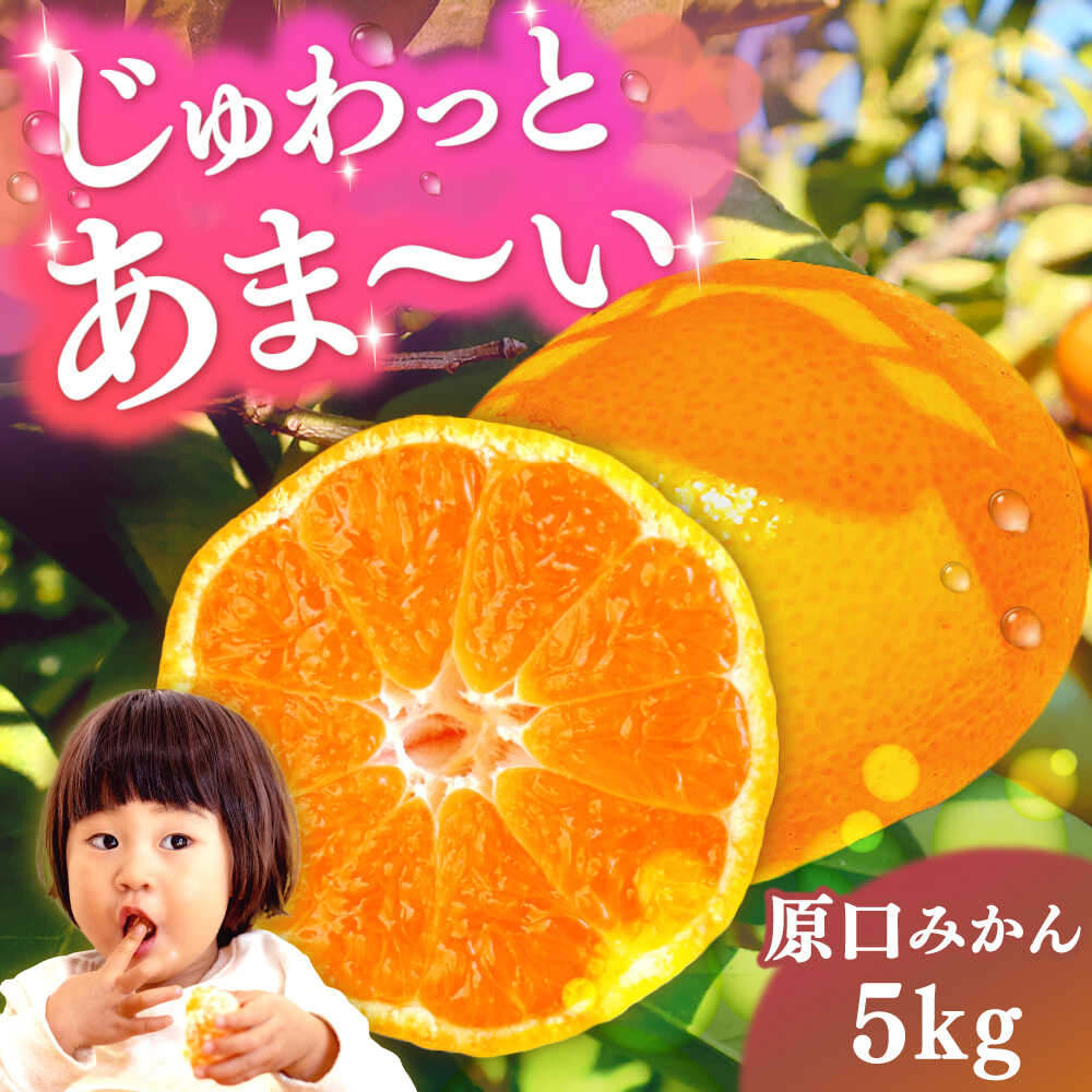 【ふるさと納税】【2026年11月より発送】原口みかん 5kg（箱込み） 長与町/岩永農園[EAZ004]