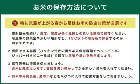 【定期便 3ヶ月連続】いとだ泌泉米 9kg(白米 4.5kg×2)