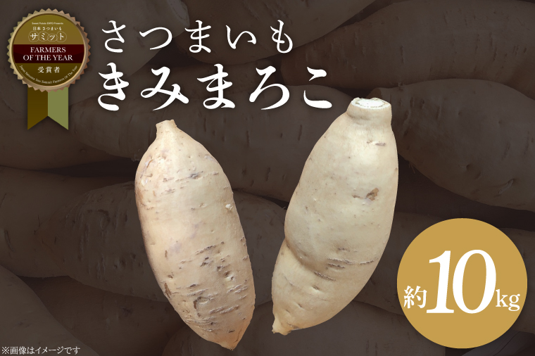 さつまいも きみまろこ 約10kg｜茨城県 行方市 ふるさと納税 芋 いも さつまいも サツマイモ さつま芋 お芋 おいも きみまろこ 10kg 20000円以下 2万円以下 渋谷農園 さつまいも博(BZ-45)