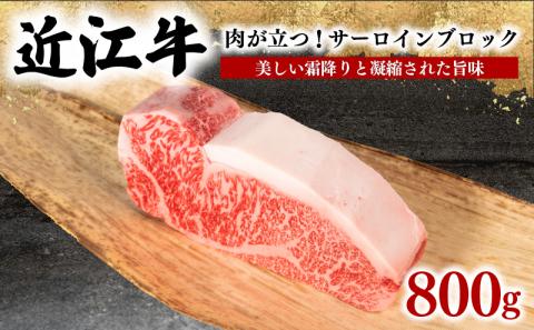 近江牛 サーロイン ブロック 800g 冷凍 黒毛和牛 ( ブランド牛 牛肉 和牛 日本 三大和牛 贈り物 ギフト 国産 滋賀県 竜王町 岡喜 )