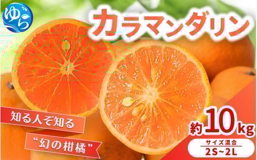 【来シーズン 先行予約】カラマンダリン 約10kg ※2026年3月下旬～順次発送 農家直送 / くだもの  果実  柑橘 果物 フルーツ 国産 和歌山県 由良町 からまんだりん カラ 人気 おすすめ 和歌山 甘い おれんじ【nktn027】