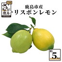 【ふるさと納税】リスボンレモン 約5kg レモン れもん 檸檬 国産 九州産 佐賀県産 鹿島市産 送料無料 B-367