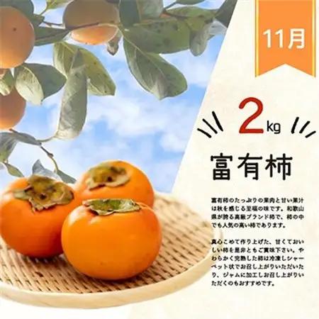 【発送月固定定期便】紀州和歌山産旬のフルーツセット(紀州デコ・桃・富有柿)全3回【配送不可地域：離島・北海道・沖縄県】【4013259】