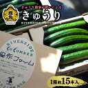 【ふるさと納税】 野菜ソムリエサミット 銀賞受賞 リバーサイド きゅうり 1箱約15本入り 選べる内容量 秋田県鹿角産 新鮮 旬 安全 採れたて クール便 キュウリ 胡瓜 国産野菜 お中元 お歳暮 お取り寄せ グルメ ギフト 秋田 あきた 鹿角市 鹿角 送料無料 【優作ファーム】