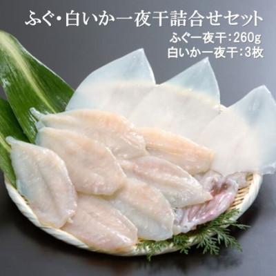 ふるさと納税 大田市 ふぐ・白いか一夜干詰合せ(ふぐ一夜干(5尾〜11尾)・白いか一夜干 3枚)　US50