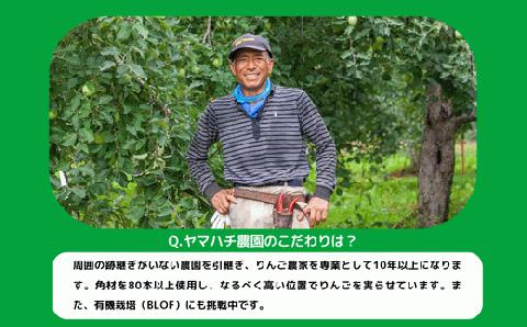 米 こしひかり 10kg × 3回 【 3か月 定期便 】( 令和7年産 ) ヤマハチ農園 2025年11月上旬頃から順次発送予定 コシヒカリ 白米 精米 お米 信州 75000円 予約 農家直送 長