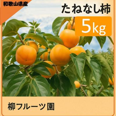 ふるさと納税 橋本市 柿【先行受付】柳フルーツ園 たねなし柿 約5kg