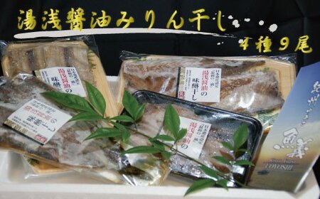 干物 ひもの あじ さんま さば アジ 秋刀魚 サバ 鯖 / 和歌山の近海でとれた新鮮魚の湯浅醤油みりん干し4品種9尾入りの詰め合わせ【tec200A】