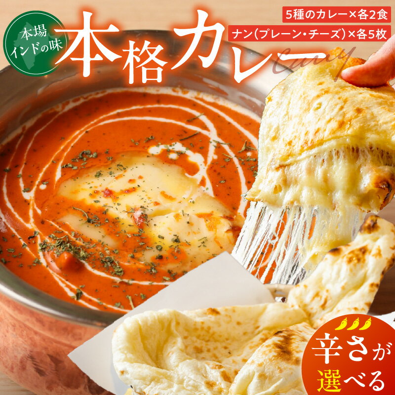 【ふるさと納税】ビスヌ 本格カレー 10食 プレーンナン チーズナン 各 5枚 選べる 辛さ マイルド 中辛 辛口 バターチキン 豆 海老 チキン キーマ インドカレー ナン チーズ スパイス こだわり インド 直輸入 Aランク できたて 冷凍 真空パック 福岡県 久留米市 送料無料