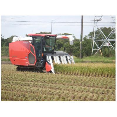 ふるさと納税 神栖市 【令和7年産】オリジナルブランド米!はさき産コシヒカリ鈴穂(精米)2kg×2袋 |  | 02