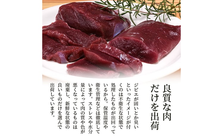 シカ肉 ロース・モモブロック（1kg以上） FKP9-001