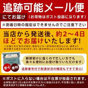 【ゆうパケット】塩ラーメン　8食セット_M104-0015